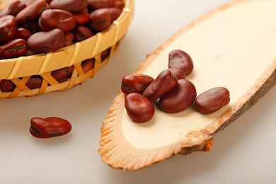 恐怖视觉小说游戏《新宿变异》上架Steam